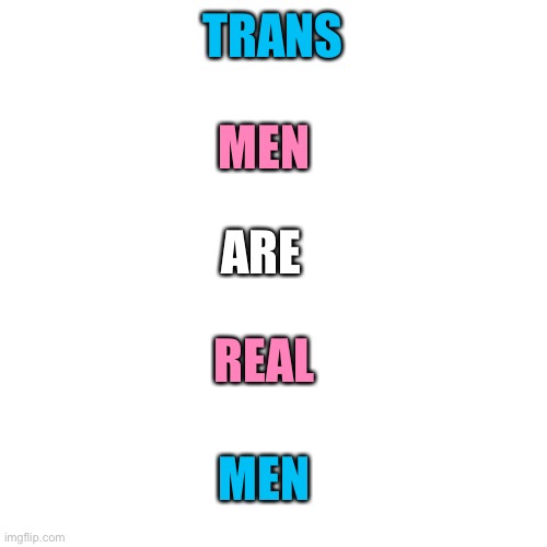 Trans. Men. Are. Real. Men! | TRANS; MEN; ARE; REAL; MEN | image tagged in memes,blank transparent square | made w/ Imgflip meme maker