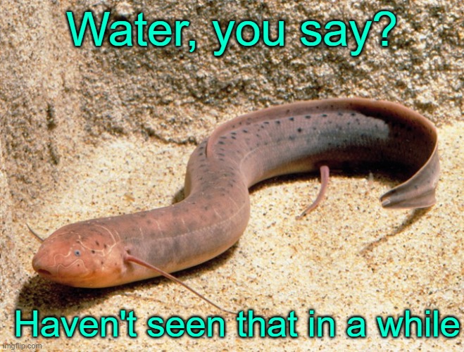 Water, you say? Haven't seen that in a while | made w/ Imgflip meme maker