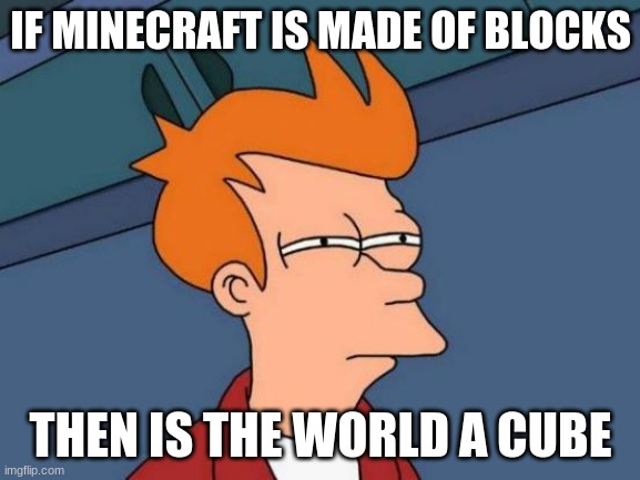 Futurama Fry | IF MINECRAFT IS MADE OF BLOCKS; THEN IS THE WORLD A CUBE | image tagged in memes,futurama fry | made w/ Imgflip meme maker