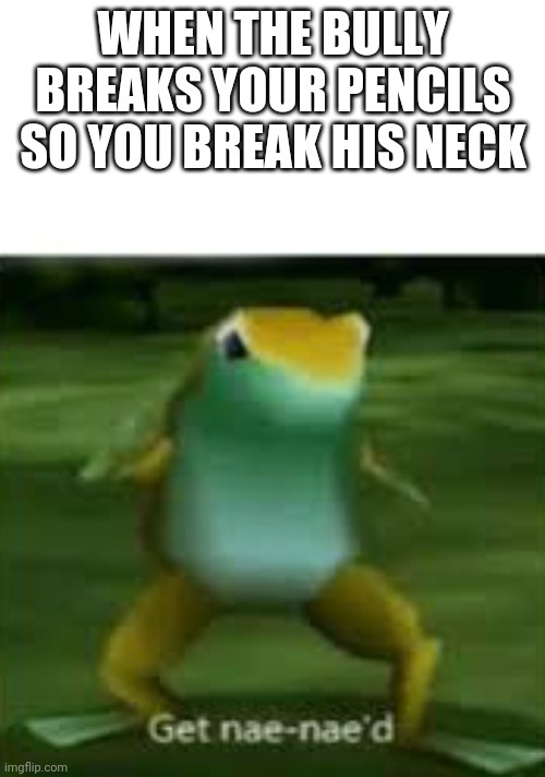 Get nae nae'd | WHEN THE BULLY BREAKS YOUR PENCILS SO YOU BREAK HIS NECK | image tagged in get nae nae'd | made w/ Imgflip meme maker