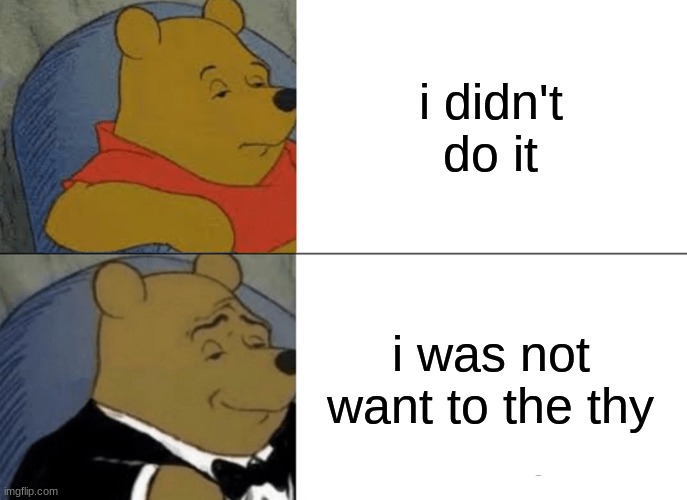 F a n c y | i didn't do it; i was not want to the thy | image tagged in memes,tuxedo winnie the pooh | made w/ Imgflip meme maker