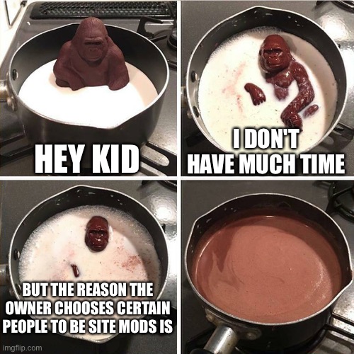 Seriously imgflip. Tell me the reason. | HEY KID; I DON'T HAVE MUCH TIME; BUT THE REASON THE OWNER CHOOSES CERTAIN PEOPLE TO BE SITE MODS IS | image tagged in chocolate gorilla,imgflip,moderators,imgflip mods | made w/ Imgflip meme maker
