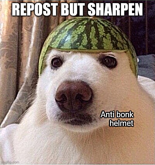 Anti bonk helmet | REPOST BUT SHARPEN | image tagged in anti bonk helmet | made w/ Imgflip meme maker