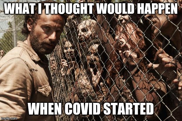 The zombie apocalypse.. | WHAT I THOUGHT WOULD HAPPEN; WHEN COVID STARTED | image tagged in zombies,covid-19,zombie apocalypse,oof | made w/ Imgflip meme maker