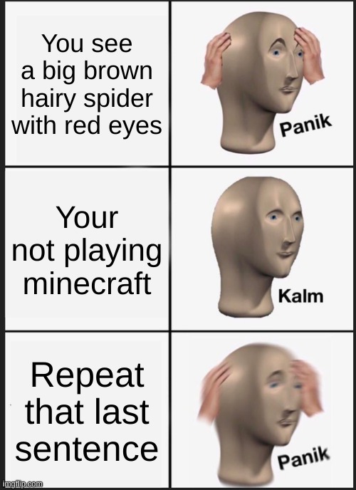 uh oh | You see a big brown hairy spider with red eyes; Your not playing minecraft; Repeat that last sentence | image tagged in memes,panik kalm panik | made w/ Imgflip meme maker