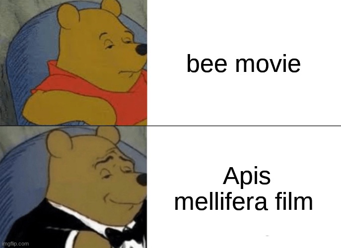 Tuxedo Winnie The Pooh | bee movie; Apis mellifera film | image tagged in memes,tuxedo winnie the pooh | made w/ Imgflip meme maker