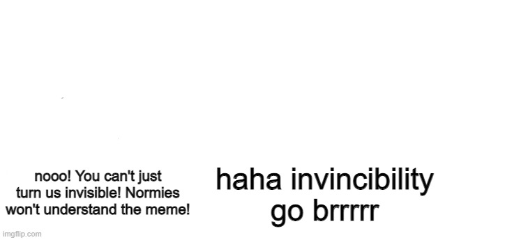 haha invisibility go brrrrr | nooo! You can't just turn us invisible! Normies won't understand the meme! haha invincibility go brrrrr | image tagged in nooo haha go brrr,idk | made w/ Imgflip meme maker