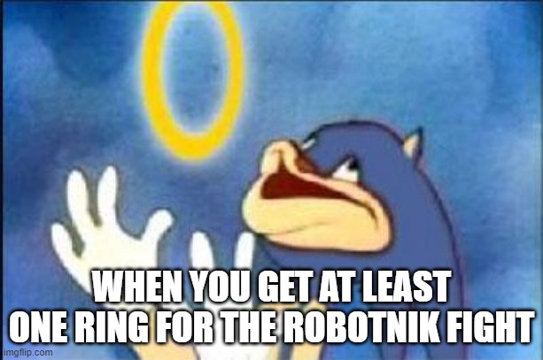 1 ring is better than none | WHEN YOU GET AT LEAST ONE RING FOR THE ROBOTNIK FIGHT | image tagged in sonic derp | made w/ Imgflip meme maker