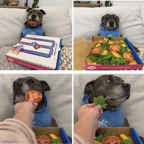 Disappointed pizza dog | image tagged in disappointed pizza dog | made w/ Imgflip meme maker