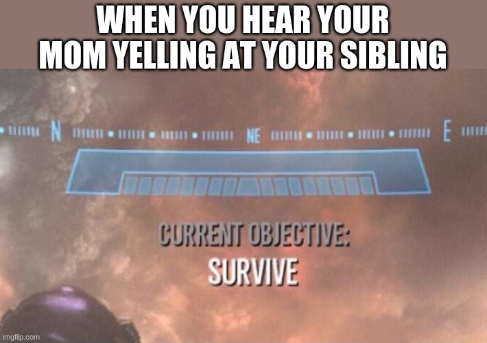 *Proceeds to do chores* | WHEN YOU HEAR YOUR MOM YELLING AT YOUR SIBLING | image tagged in current objective survive | made w/ Imgflip meme maker