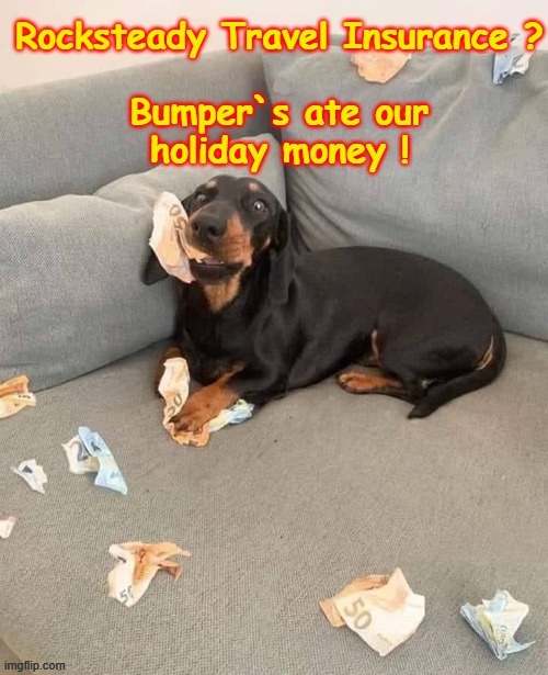 The dog`s ate the travel money ! | image tagged in scumbag europe | made w/ Imgflip meme maker