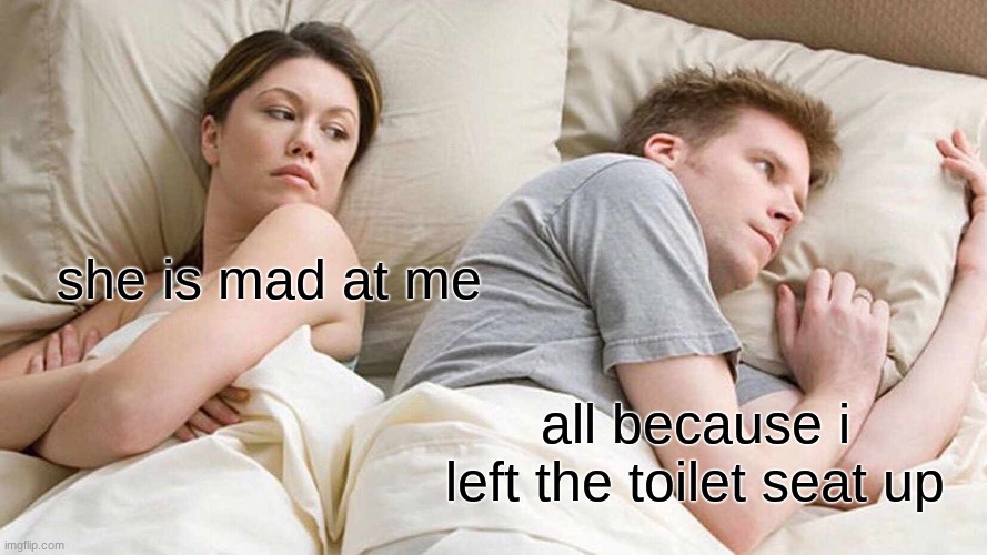 DONT TAKE MY MEME ETHAN | she is mad at me; all because i left the toilet seat up | image tagged in memes,i bet he's thinking about other women | made w/ Imgflip meme maker