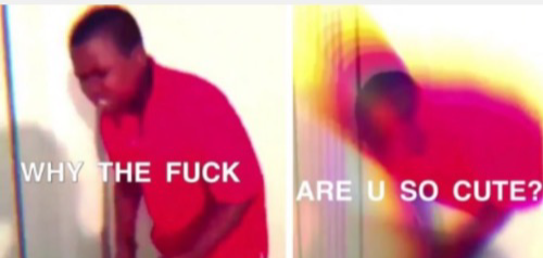 High Quality Why the fuck are you so cute? Blank Meme Template