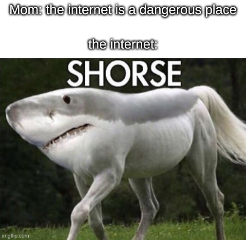 Mom: the internet is a dangerous place; the internet: | made w/ Imgflip meme maker