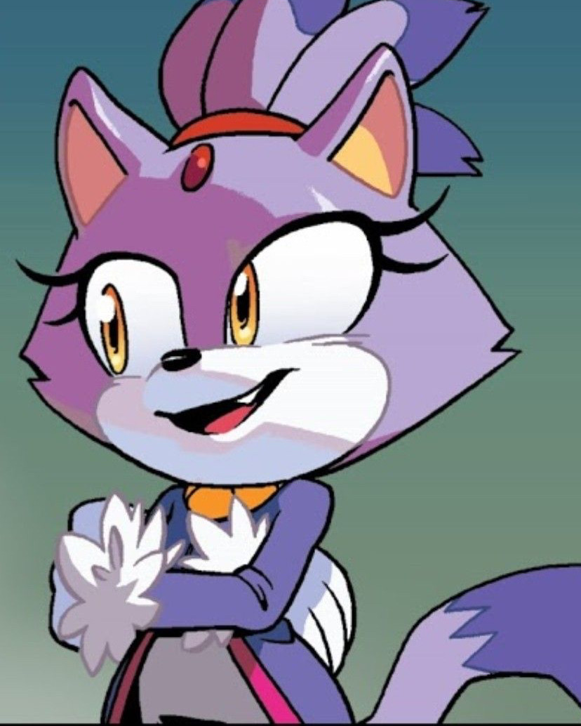 Blaze the cat Blank Meme Template