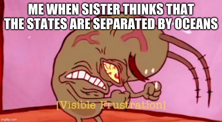Visible Frustration HD | ME WHEN SISTER THINKS THAT THE STATES ARE SEPARATED BY OCEANS | image tagged in visible frustration hd | made w/ Imgflip meme maker