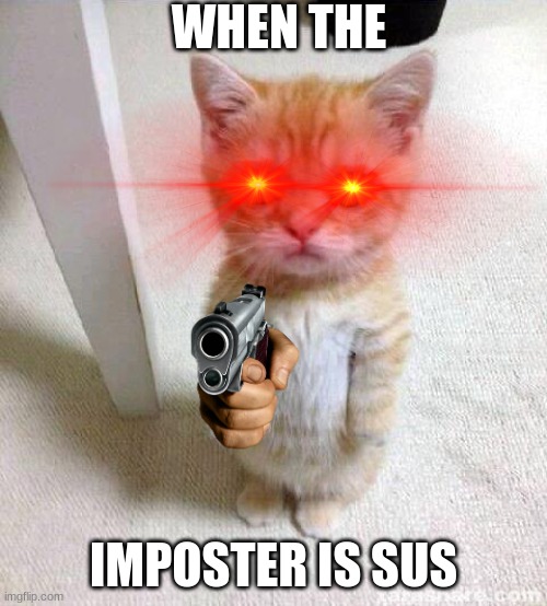 When the imposter is sus | WHEN THE; IMPOSTER IS SUS | image tagged in memes,cute cat | made w/ Imgflip meme maker