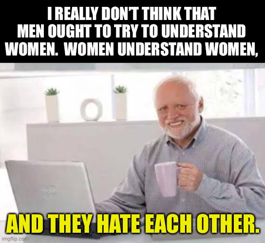 Understanding Women | I REALLY DON’T THINK THAT MEN OUGHT TO TRY TO UNDERSTAND WOMEN.  WOMEN UNDERSTAND WOMEN, AND THEY HATE EACH OTHER. | image tagged in harold | made w/ Imgflip meme maker