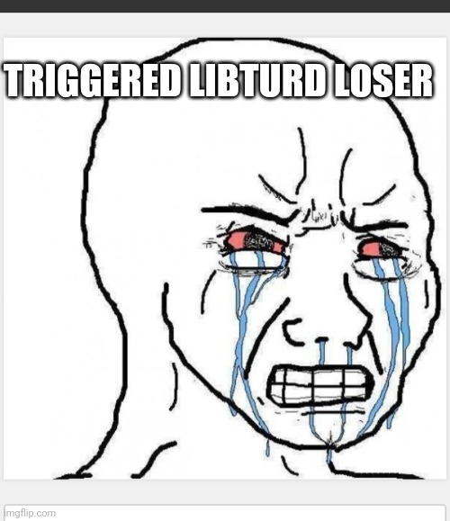 TRIGGERED LIBTURD LOSER | made w/ Imgflip meme maker