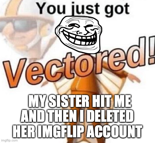 You just got vectored | MY SISTER HIT ME; AND THEN I DELETED HER IMGFLIP ACCOUNT | image tagged in memes,you just got vectored,bye bye,troll face,why | made w/ Imgflip meme maker
