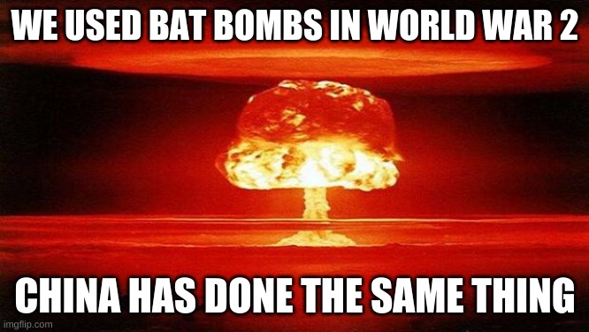 Atomic Bomb | WE USED BAT BOMBS IN WORLD WAR 2; CHINA HAS DONE THE SAME THING | image tagged in atomic bomb | made w/ Imgflip meme maker