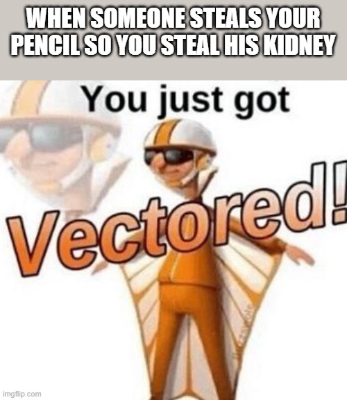 GET VECTORED | WHEN SOMEONE STEALS YOUR PENCIL SO YOU STEAL HIS KIDNEY | image tagged in you just got vectored | made w/ Imgflip meme maker