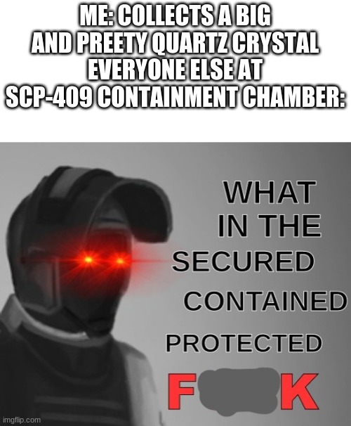 why is my pet rock freezing me | ME: COLLECTS A BIG AND PREETY QUARTZ CRYSTAL
EVERYONE ELSE AT SCP-409 CONTAINMENT CHAMBER: | image tagged in what in the scpf,scp 409,pet rock,wtf scp | made w/ Imgflip meme maker