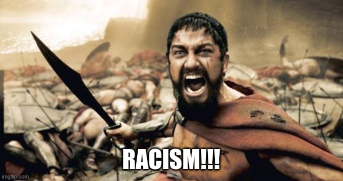 Sparta Leonidas Meme | RACISM!!! | image tagged in memes,sparta leonidas | made w/ Imgflip meme maker