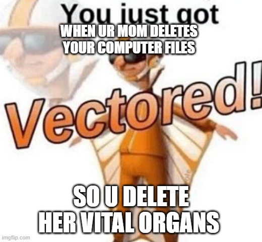 You just got vectored | WHEN UR MOM DELETES YOUR COMPUTER FILES; SO U DELETE HER VITAL ORGANS | image tagged in you just got vectored | made w/ Imgflip meme maker