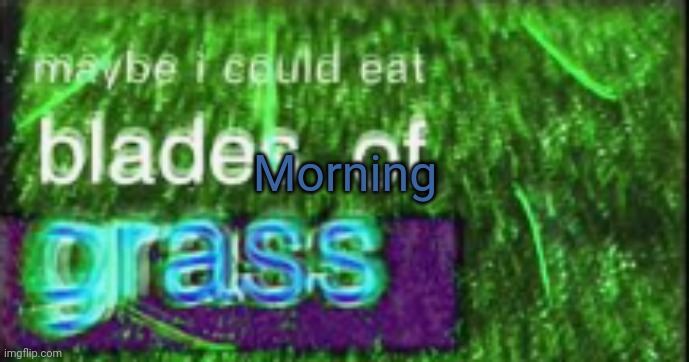 Maybe I could eat blades of grass | Morning | image tagged in maybe i could eat blades of grass | made w/ Imgflip meme maker