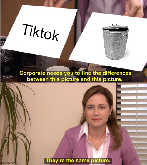 They're The Same Picture Meme | Tiktok | image tagged in memes,they're the same picture | made w/ Imgflip meme maker
