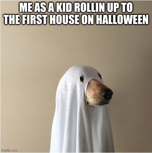 Ghost Doge | ME AS A KID ROLLIN UP TO THE FIRST HOUSE ON HALLOWEEN | image tagged in ghost doge | made w/ Imgflip meme maker