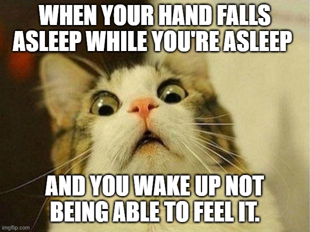 Scared Cat Meme | WHEN YOUR HAND FALLS ASLEEP WHILE YOU'RE ASLEEP; AND YOU WAKE UP NOT BEING ABLE TO FEEL IT. | image tagged in memes,scared cat | made w/ Imgflip meme maker