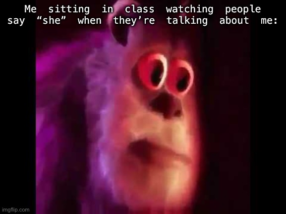 Sully Groan | Me sitting in class watching people say “she” when they’re talking about me: | image tagged in sully groan | made w/ Imgflip meme maker