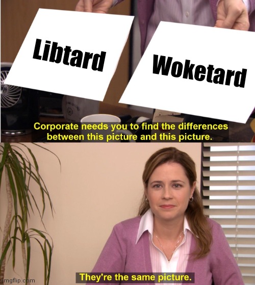 They're The Same Picture Meme | Libtard Woketard | image tagged in memes,they're the same picture | made w/ Imgflip meme maker