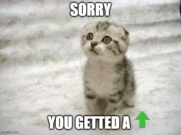 Sad Cat Meme | SORRY YOU GETTED A | image tagged in memes,sad cat | made w/ Imgflip meme maker