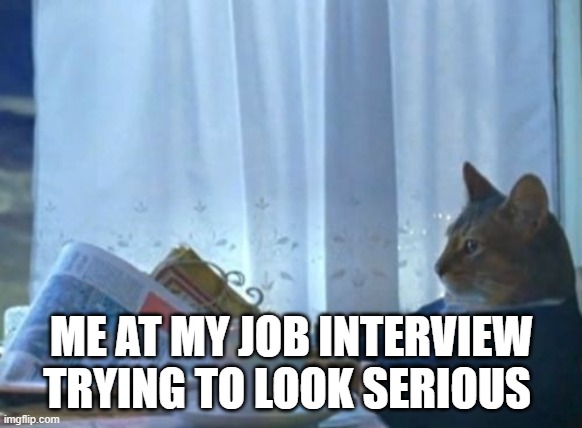 cats role the world | ME AT MY JOB INTERVIEW TRYING TO LOOK SERIOUS | image tagged in memes,i should buy a boat cat | made w/ Imgflip meme maker