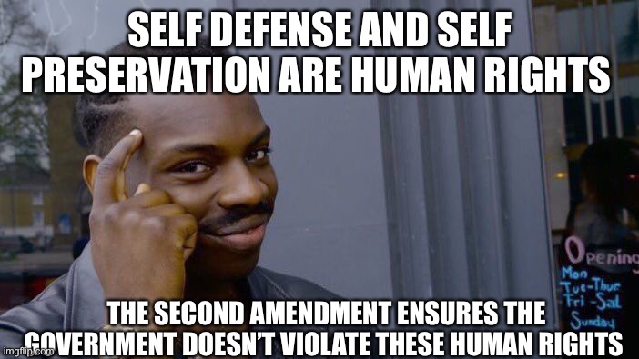 Roll Safe Think About It Meme | SELF DEFENSE AND SELF PRESERVATION ARE HUMAN RIGHTS THE SECOND AMENDMENT ENSURES THE GOVERNMENT DOESN’T VIOLATE THESE HUMAN RIGHTS | image tagged in memes,roll safe think about it | made w/ Imgflip meme maker