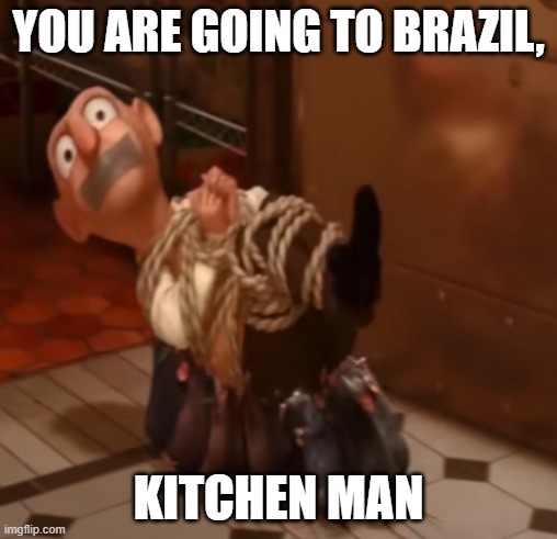 Kitchen man going to Brazil | YOU ARE GOING TO BRAZIL, KITCHEN MAN | image tagged in kitchen,you are going to brazil,brazil | made w/ Imgflip meme maker