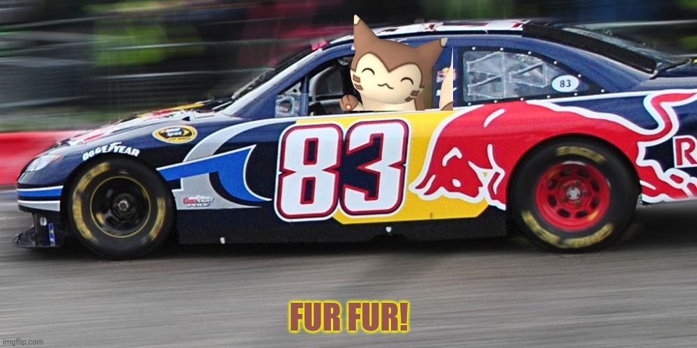 Furret joins NASCAR! | FUR FUR! | image tagged in race car doge,furret,nascar,gotta go fast | made w/ Imgflip meme maker