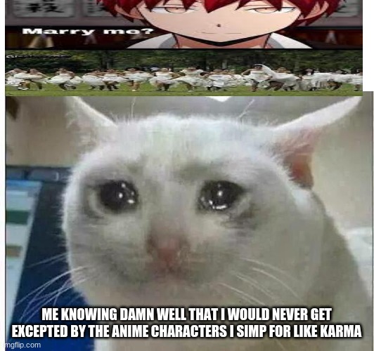 crying cat | ME KNOWING DAMN WELL THAT I WOULD NEVER GET EXCEPTED BY THE ANIME CHARACTERS I SIMP FOR LIKE KARMA | image tagged in crying cat | made w/ Imgflip meme maker