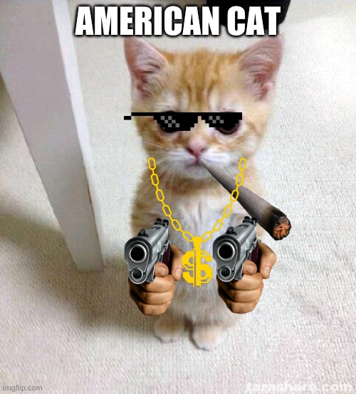 Cute Cat | AMERICAN CAT | image tagged in memes,cute cat | made w/ Imgflip meme maker