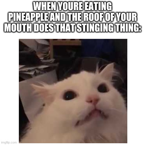 i hate it when that happens | WHEN YOURE EATING PINEAPPLE AND THE ROOF OF YOUR MOUTH DOES THAT STINGING THING: | image tagged in blank transparent square,memes,relatable,funny | made w/ Imgflip meme maker