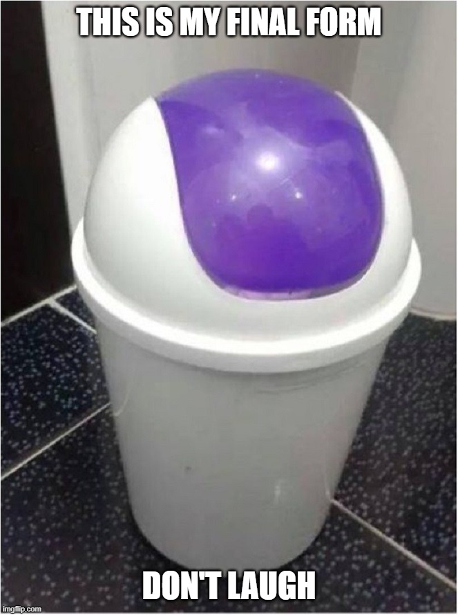 H | THIS IS MY FINAL FORM; DON'T LAUGH | image tagged in this isn't even my final form | made w/ Imgflip meme maker