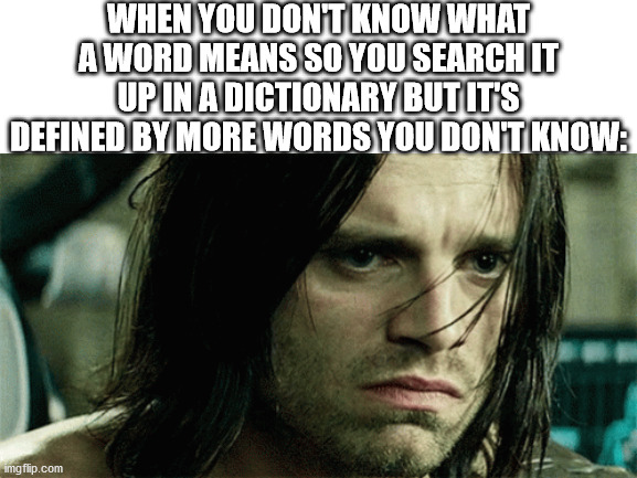 I hate it when that happens because then you gotta search what those words mean. | WHEN YOU DON'T KNOW WHAT A WORD MEANS SO YOU SEARCH IT UP IN A DICTIONARY BUT IT'S DEFINED BY MORE WORDS YOU DON'T KNOW: | image tagged in winter soldier | made w/ Imgflip meme maker