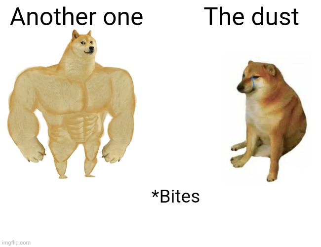 Another one bites the dust |  Another one; The dust; *Bites | image tagged in memes,buff doge vs cheems | made w/ Imgflip meme maker