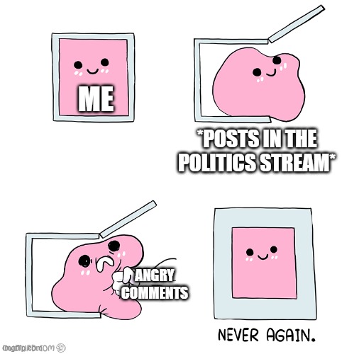never ever again | ME; *POSTS IN THE POLITICS STREAM*; ANGRY COMMENTS | image tagged in pink blob in the box | made w/ Imgflip meme maker