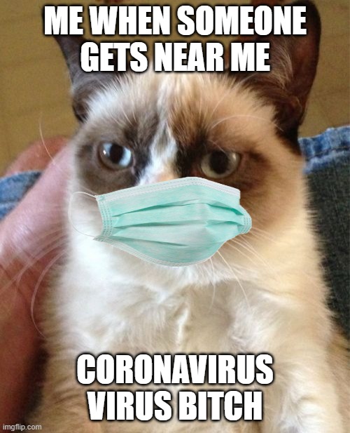 covid-19 | ME WHEN SOMEONE GETS NEAR ME; CORONAVIRUS VIRUS BITCH | image tagged in memes,grumpy cat | made w/ Imgflip meme maker