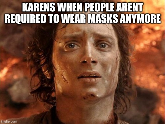 It's Finally Over Meme |  KARENS WHEN PEOPLE ARENT REQUIRED TO WEAR MASKS ANYMORE | image tagged in memes,it's finally over,trololol,funny,so so dank | made w/ Imgflip meme maker