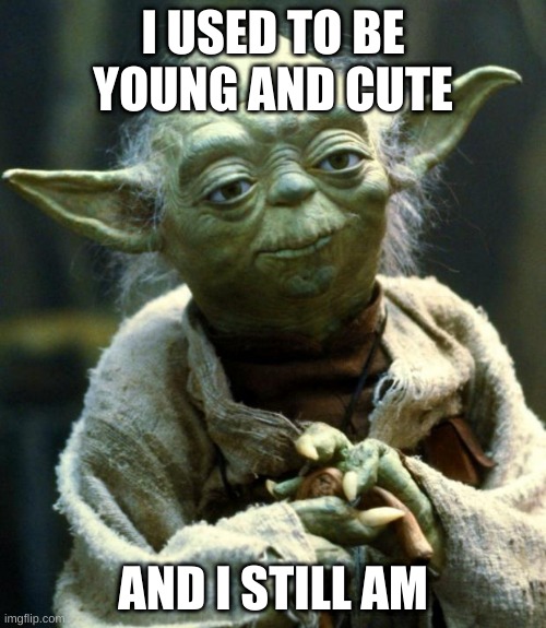Did Yoda Think This All Along Untill He Looked In A Mirror? | I USED TO BE YOUNG AND CUTE; AND I STILL AM | image tagged in memes,star wars yoda | made w/ Imgflip meme maker